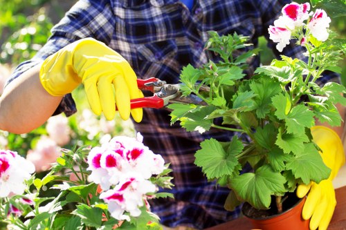 Photograph of a gardener inspecting a small urban garden